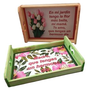 Bandeja Decorada Colores