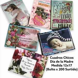 Cuadro Dia de la Madre chico