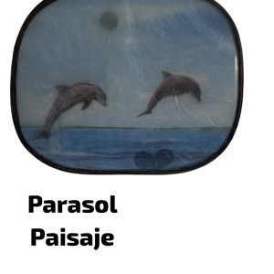 Parasol Paisaje