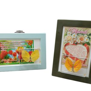 Cuadro Mariposa Chico