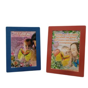 Cuadro Mariposa Grande