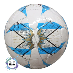 Pelota N2